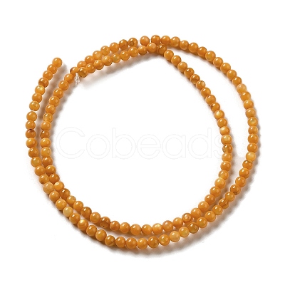 Natural Freshwater Shell Beads Strands SHEL-H003-03E-1