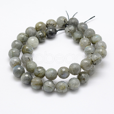 Natural Labradorite Beads Strands G-P322-28-10mm-1