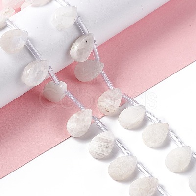 Natural Rainbow Moonstone Beads Strands G-G805-B16-1