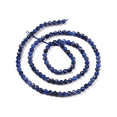 Natural Sodalite Beads Strands G-C009-A07-1