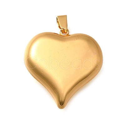 304 Stainless Steel Pendants STAS-H200-01G-06-1