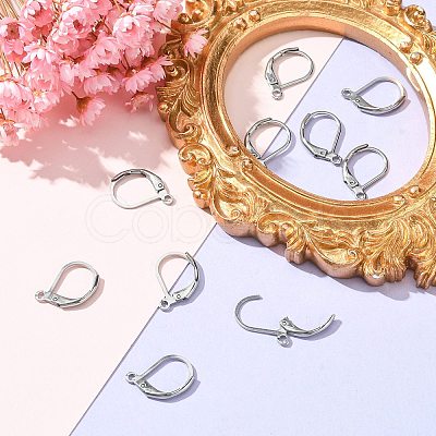 Tarnish Resistant 304 Stainless Steel Leverback Earring Findings X-STAS-S028-07-1