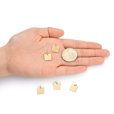 304 Stainless Steel Stamping Blank Tag Charms STAS-I311-28G-1