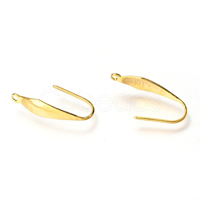 316 Stainless Steel Earring Hooks STAS-Z034-10G-1