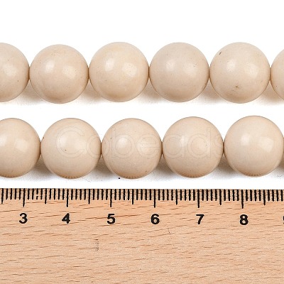Natural Fossil Beads Strands G-E110-14mm-2-1