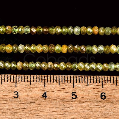 Faceted Rondelle Natural Green Garnet Beads Strands G-F289-40B-1