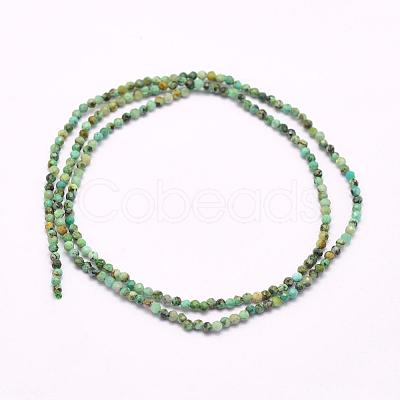 Natural African Turquoise(Jasper) Beads Strands G-F509-29-3mm-1