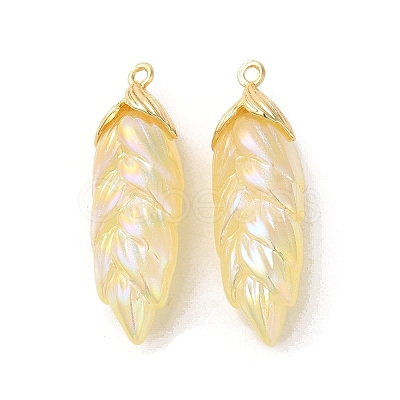 Rainbow Iridescent Plating Resin Pendants RESI-C047-03C-G-1
