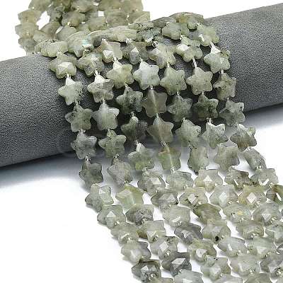 Natural Labradorite Beads Strands G-P573-C07-01-1