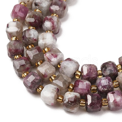 Natural Plum Blossom Tourmaline Beads Strands GG-CBAC972-A02-01-1