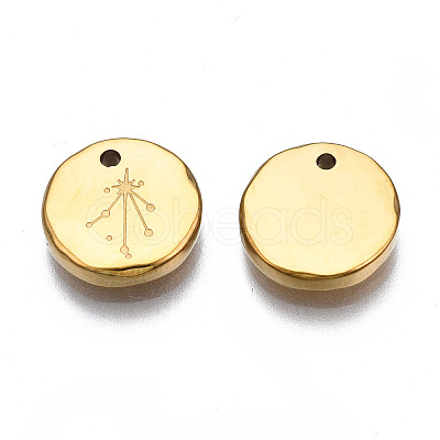 316 Surgical Stainless Steel Charms STAS-S116-418K-G-1