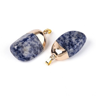 Natural Blue Spot Jasper Pendants G-N360-05G-05-01-1