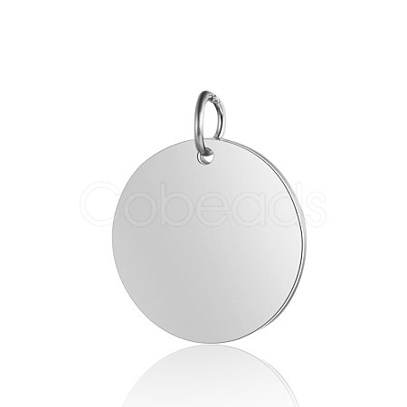 Anti-Tarnish 304 Stainless Steel Pendants X-STAS-I311-06P-1