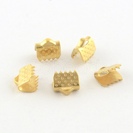 304 Stainless Steel Ribbon Crimp Ends STAS-S047-056G-1