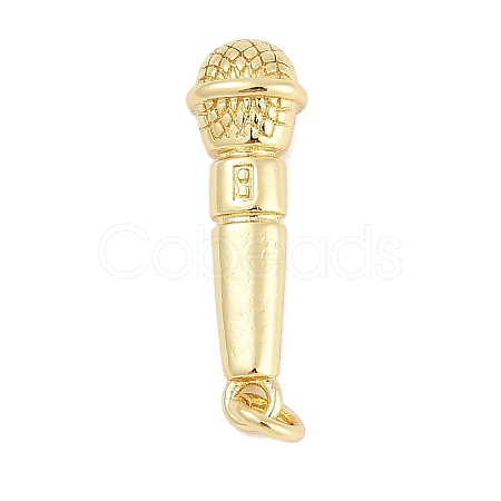 Rack Plating Brass Pendants KK-Q028-10G-1