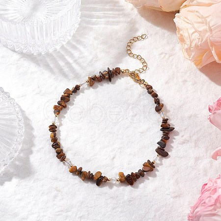 Natural Tiger Eye Chip & Glass Beaded Anklets AJEW-AN00682-06-1