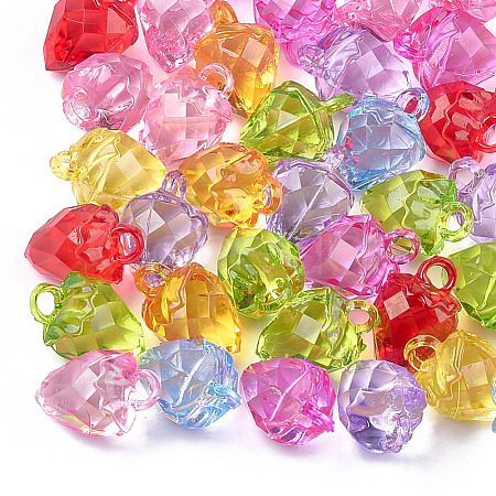Transparent Acrylic Pendants TACR-T005-12-1