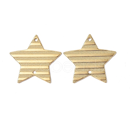 Ion Plating(IP) 304 Stainless Steel Connector Charms STAS-C066-07G-1