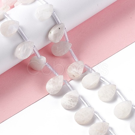 Natural Rainbow Moonstone Beads Strands G-G805-B16-1
