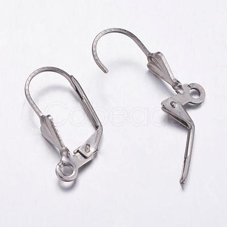 Tarnish Resistant 304 Stainless Steel Hoop Earrings STAS-K146-037-19.5mm-1