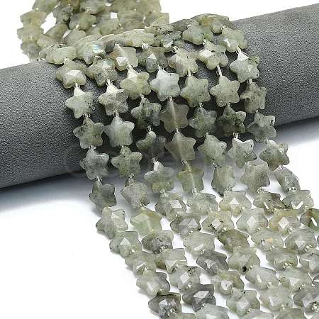 Natural Labradorite Beads Strands G-P573-C07-01-1