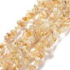 Natural Citrine Chips Beads X-F091-2