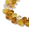Natural Agate Beads Strands G-G021-04A-10-4