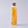 Glass Wishing Bottle DJEW-L013-A07-1