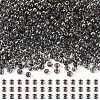 100G Transparent Inside Colours Glass Seed Beads SEED-TA0001-43-1