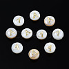 Natural Freshwater Shell Beads SHEL-S278-036-3