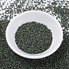 MIYUKI Delica Beads Small SEED-X0054-DBS0324-2