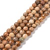 Natural Picture Jasper Beads Strands G-E571-28A-1