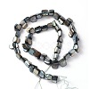 Erose Natural Shell Beads Strands X-PBB070Y-2