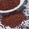MIYUKI Delica Beads SEED-MY11-DB0794-1