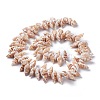 Natural Spiral Shell Beads Strands BSHE-I016-08-2