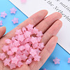 Transparent Acrylic Beads MACR-S373-26E-08-5