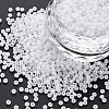 13/0 Glass Seed Beads SEED-T005-14A-A09-1