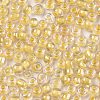 6/0 Glass Seed Beads SEED-A015-4mm-2202-2