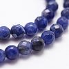 Natural Sodalite Beads Strands G-D840-19-4mm-3