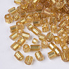 6/0 Two Cut Glass Seed Beads SEED-S033-05B-04-2