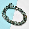 Natural African Turquoise (Jasper) Beads Strands G-Z045-A10-01-3