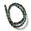Natural African Turquoise(Jasper) Beads Strands G-D081-A05-2