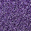 MIYUKI Delica Beads SEED-X0054-DB2168-3
