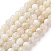 Natural White Moonstone Beads Strands G-F674-08-10mm-01-2