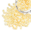6/0 Glass Seed Beads X1-SEED-A011-4mm-142-1