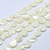 Natural White Shell Beads Strands X-SSHEL-12X11-3