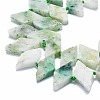 Natural Seaame Jasper Beads Strands G-K245-E06-01-3