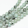 Natural Sesame Jasper/Kiwi Jasper Bead Strands X-G-R345-8mm-28-1