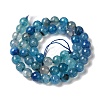 Dyed & Heated Natural Dragon Veins Agate Beads Strands G-P539-A01-03-3