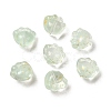 Transparent Glass Beads GLAA-D304-02C-1